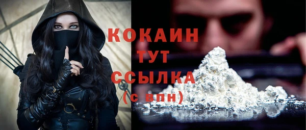 спиды Заводоуковск