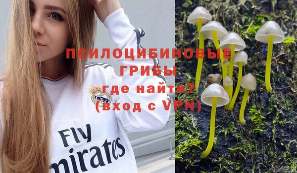 прущая мука Заволжск