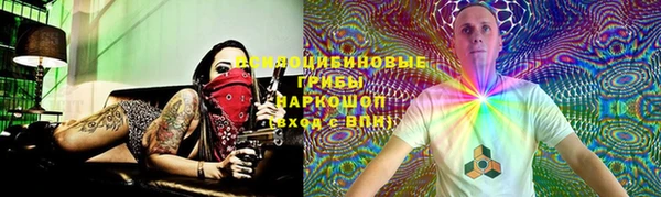 спиды Заводоуковск