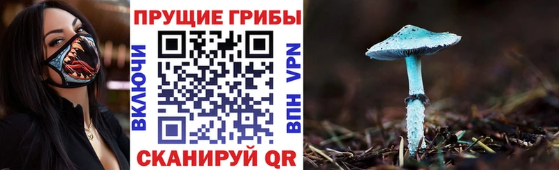 Купить Катав-Ивановск Галлюциногенные грибы мицелий