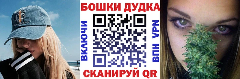 Купить закладки  Катав-Ивановск  Бошки Шишки OG Kush 